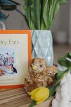 Country Fair Book